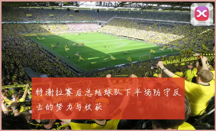 特谢拉赛后总结球队下半场防守反击的努力与收获